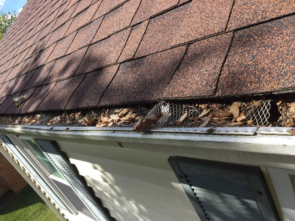 Gutters in Brookeville before gutter cleaning